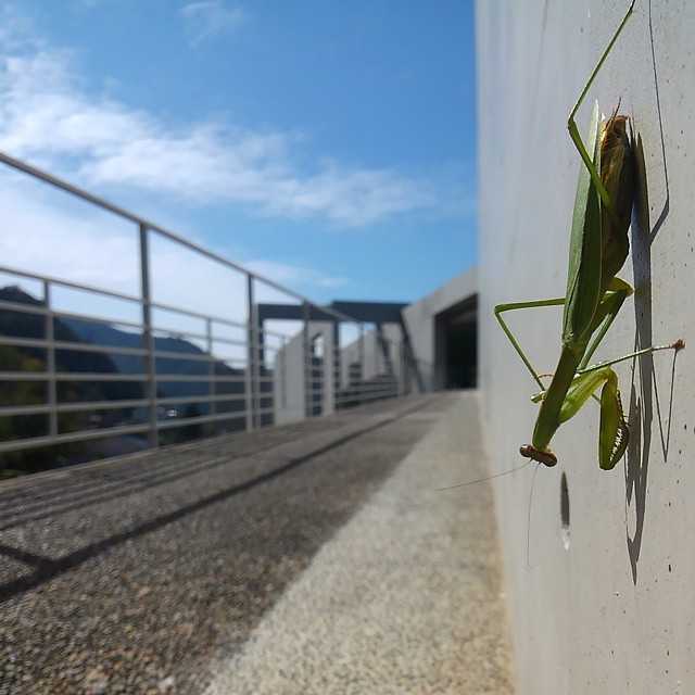 Nariwa museum. Art. nature.