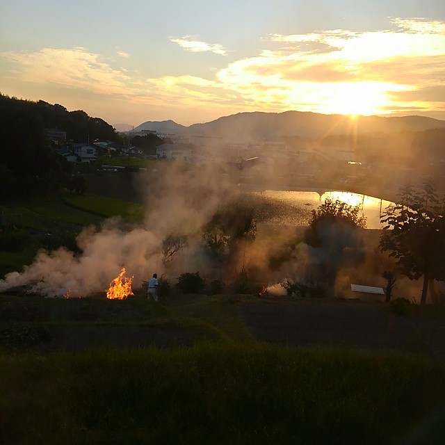 What my neighbors are up to tonight #inaka #kamogata #okayama
