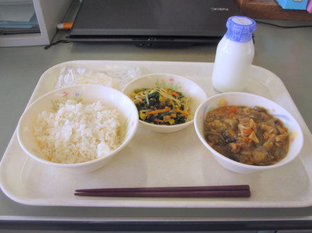 Day 6: Some kind of stew with salad and rice. A slice of pineapple for dessert. I can't remember but there was probably tons of meat in that stew.