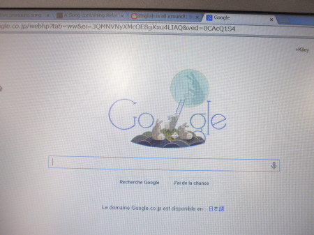 No rabbits were detected in this viewing.