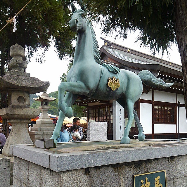 #horsies #yorishima #asakuchi #okayama