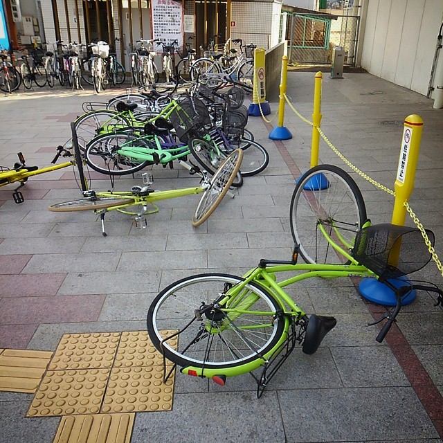 Windy day #rainbowvelo