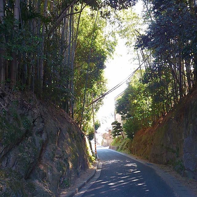 Walking home in the sun