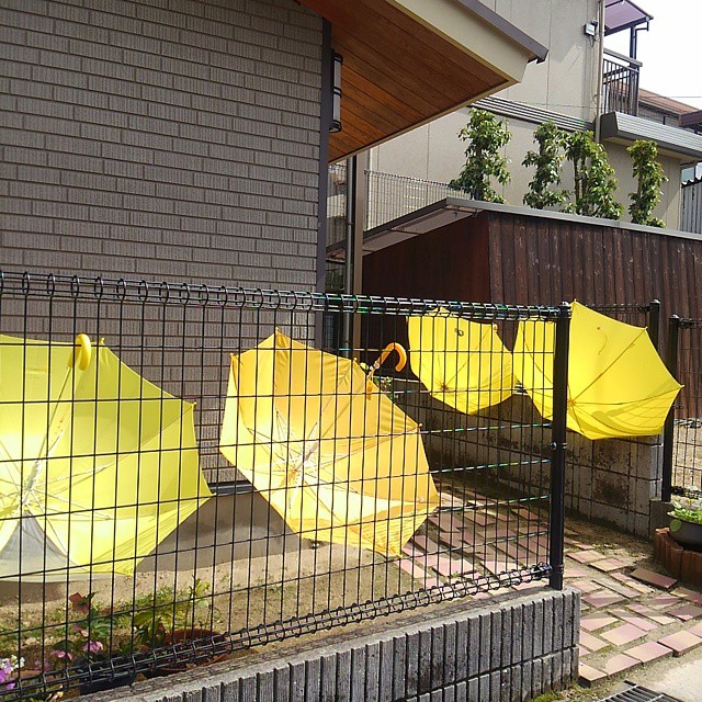 First sunny day in a while!