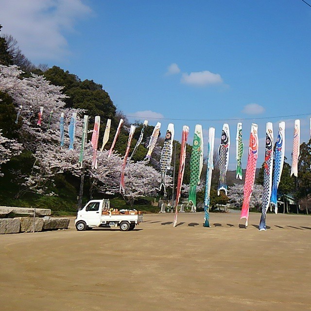 Raising the carp at kibihitsuhito shrine