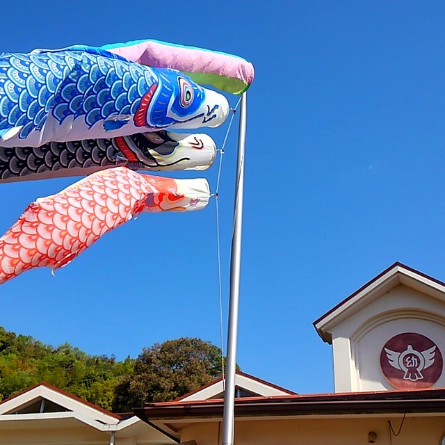Carp family at kindergarten.