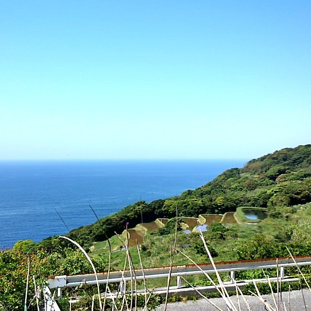 Ocean and terraces, Yamaguchi-ken